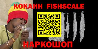 стаф Дубна