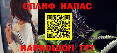 стаф Дубна