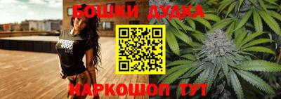 стаф Дубна