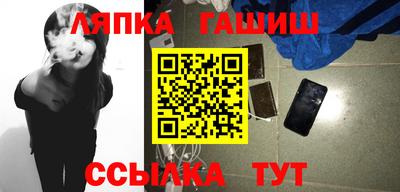 стаф Дубна