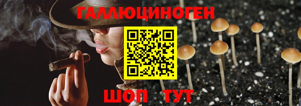 Галлюциногенные грибы прущие грибы  Галлюциногенные грибы мухоморы  Нижнеудинск  Вход с VPN 